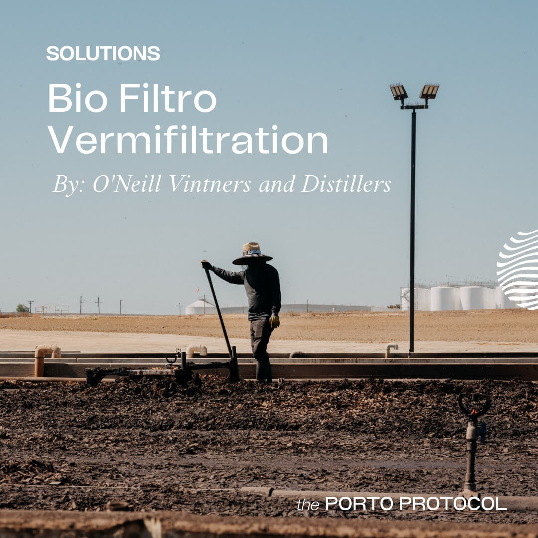 Bio Filtro Vermifiltration by O'Neill Vintners & Distillers