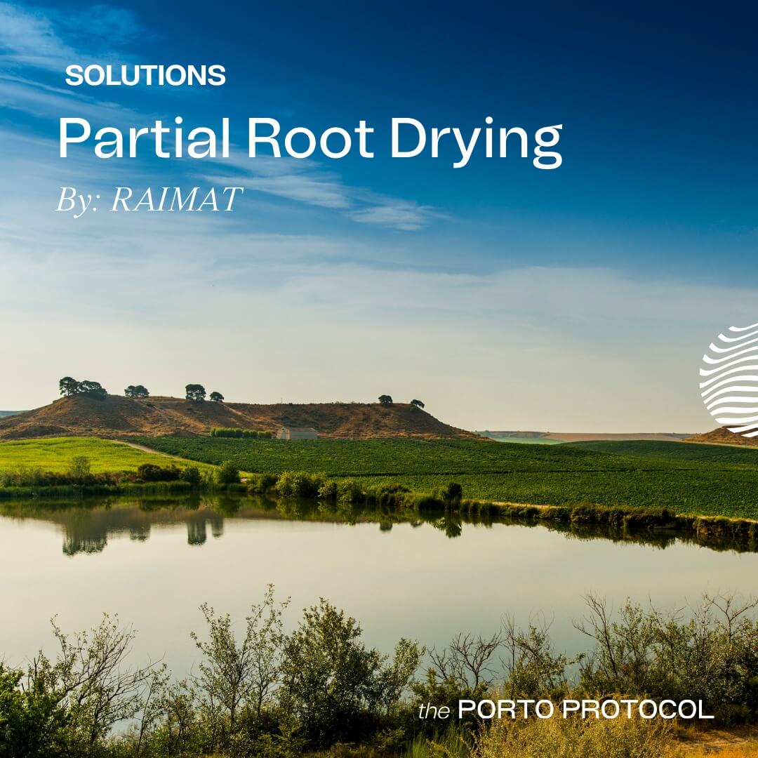 Partial Root Drying by RAIMAT