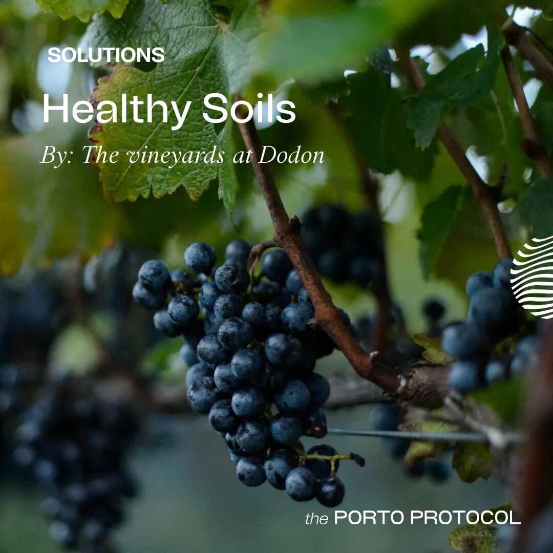 Healthy Soils by The Vineyards at Dodon