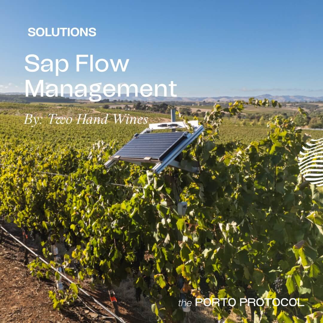 Sap Flow Management by Two Hand Wines