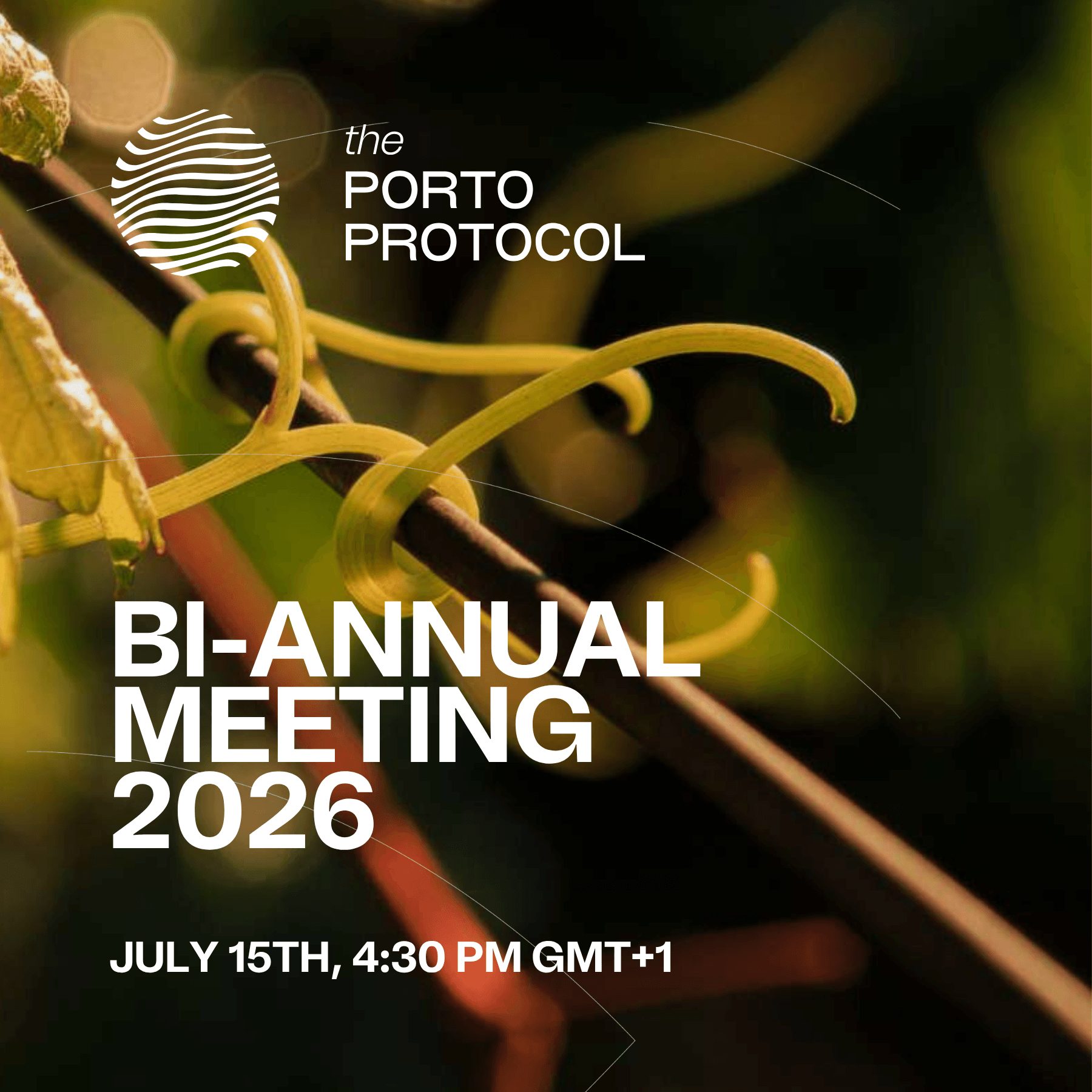 Bi-Annual Meeting